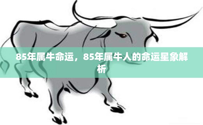 85年属牛人的命运星象解析与运势探讨