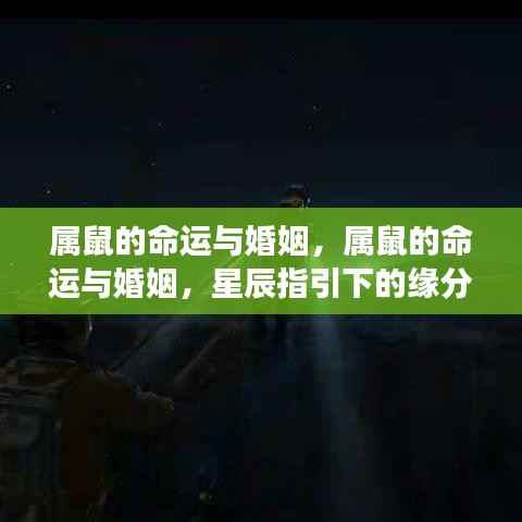 属鼠命运与婚姻,星辰指引下的缘分展望与未来分析