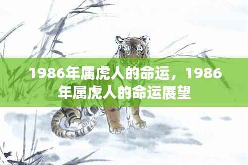1986年属虎人的命运展望与解析