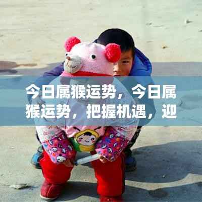 今日属猴运势揭秘,把握机遇,迎接挑战,猴儿们准备就绪!