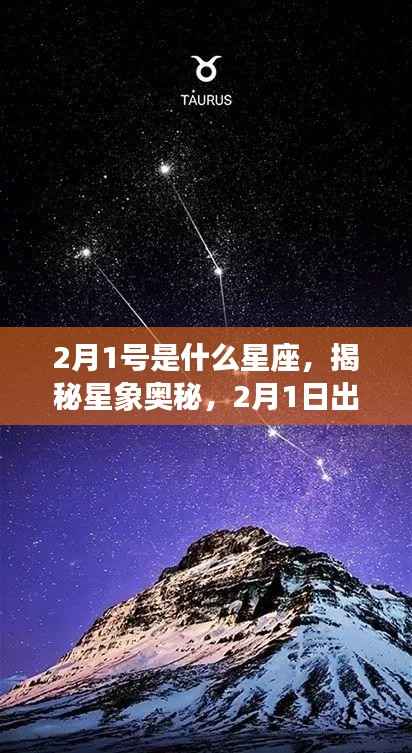 揭秘星象奥秘，2月1日出生者的星座运势与性格特征