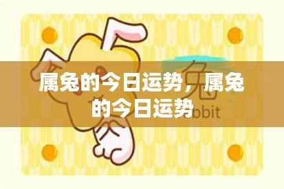 属兔人今日运势详解