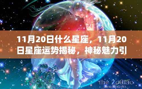 揭秘11月20日星座运势与神秘魅力,探寻星象奥秘之旅