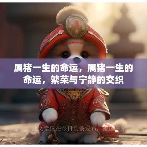 属猪人的命运,繁荣与宁静的交织一生