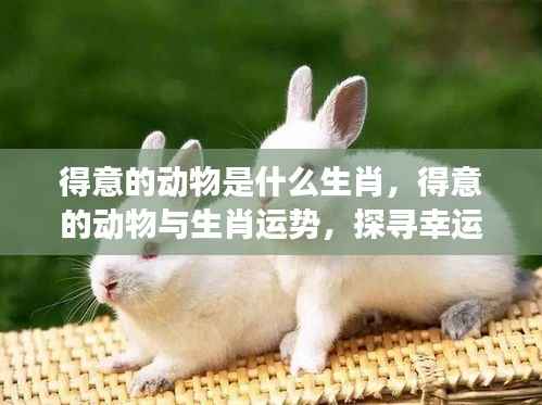 得意动物与生肖运势,探寻幸运象征的奥秘