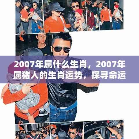 2007年属猪人的生肖运势与命运探索,机遇与挑战并存