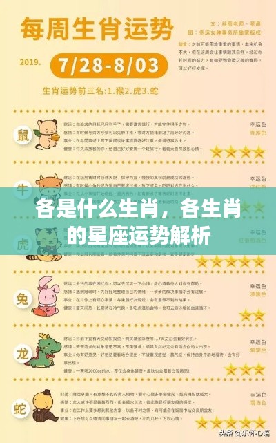 生肖与星座运势解析,探索生肖与星座的奥秘