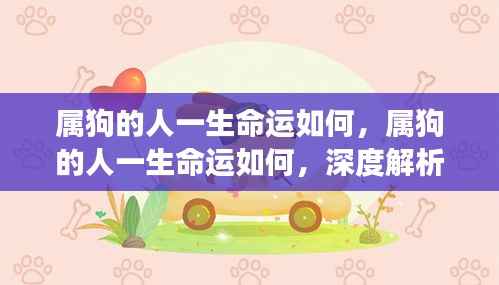 属狗人的命运深度解析，一生运势与案例洞察