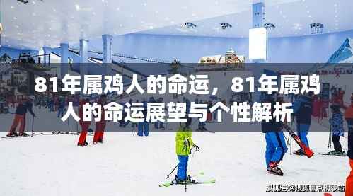 81年属鸡人的命运展望与个性深度解析