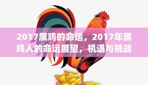 2017年属鸡人的命运展望,机遇与挑战并存