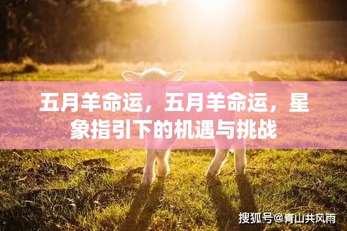 五月羊命运,星象指引下的机遇与挑战揭秘
