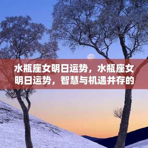 水瓶座女性明日运势,智慧与机遇交织的明日运势展望