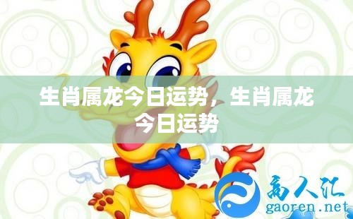 生肖属龙今日运势详解