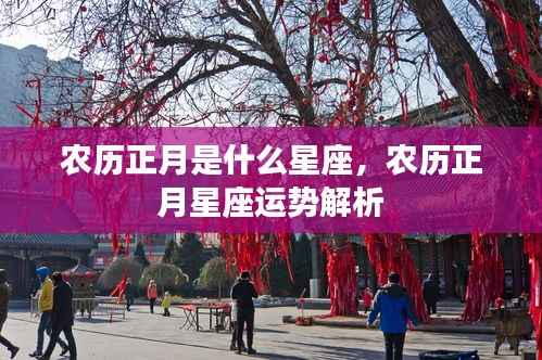 农历正月星座运势解析，探寻星座运势与特点