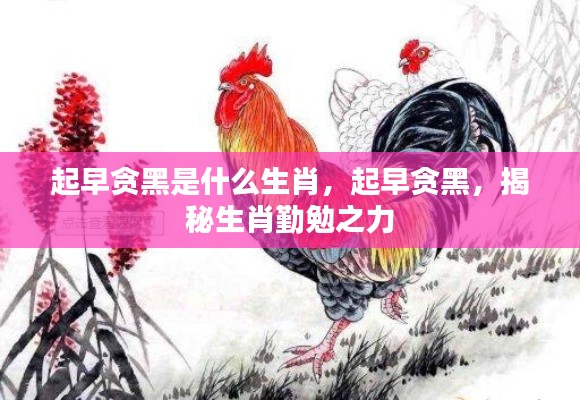 揭秘生肖勤勉之力,起早贪黑的生肖是谁?