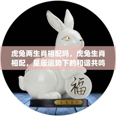 虎兔生肖相配与否?星座运势下的和谐共鸣探讨