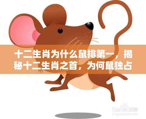 揭秘十二生肖之首,为何鼠独占鳌头,成为十二生肖之首的奥秘解析。