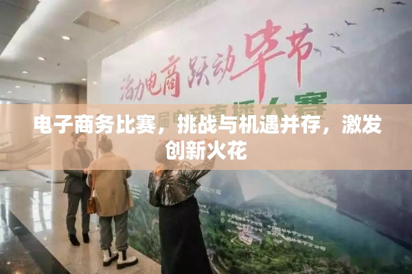 电子商务比赛,挑战与机遇并存,激发创新火花
