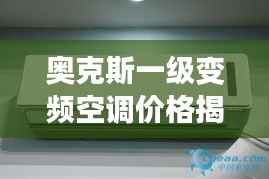 奥克斯一级变频空调价格揭秘,性价比之选,不容错过!