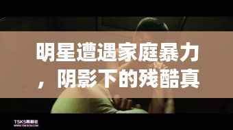 明星遭遇家庭暴力,阴影下的残酷真相——深度解析明星被父虐待事件