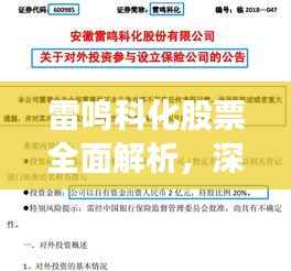 雷鸣科化股票全面解析,深度评价与前景展望