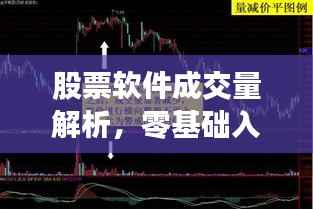 股票软件成交量解析,零基础入门指南