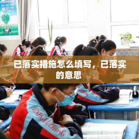 已落实措施怎么填写,已落实的意思