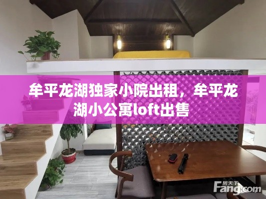 牟平龙湖独家小院出租,牟平龙湖小公寓loft出售