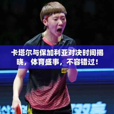 卡塔尔与保加利亚对决时间揭晓,体育盛事,不容错过!