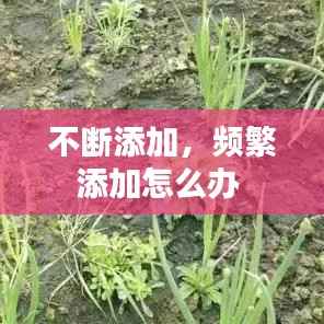 不断添加,频繁添加怎么办