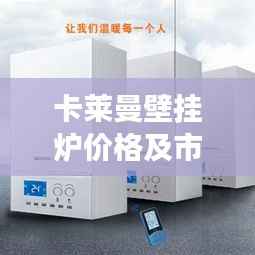 卡莱曼壁挂炉价格及市场表现揭秘,市场热度与性价比分析