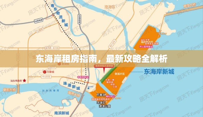 东海岸租房指南,最新攻略全解析