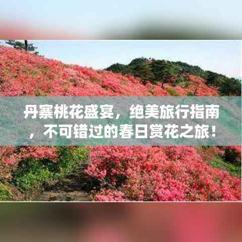 丹寨桃花盛宴,绝美旅行指南,不可错过的春日赏花之旅!