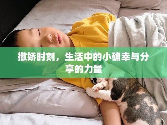 撒娇时刻,生活中的小确幸与分享的力量