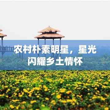 农村朴素明星,星光闪耀乡土情怀