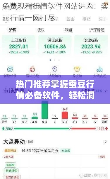 热门推荐掌握蚕豆行情必备软件,轻松洞悉市场走势!