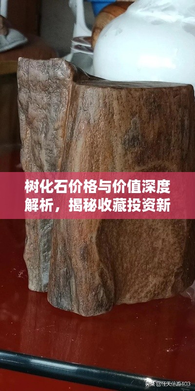 树化石价格与价值深度解析,揭秘收藏投资新热点