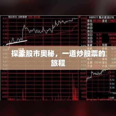 探索股市奥秘,一道炒股票的旅程