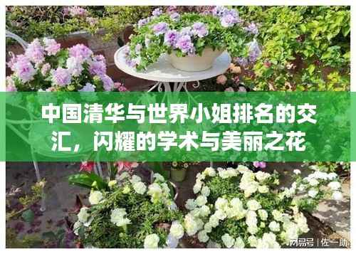 中国清华与世界小姐排名的交汇,闪耀的学术与美丽之花