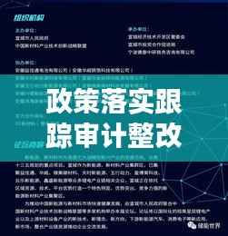 政策落实跟踪审计整改,审计整改跟踪监督机制