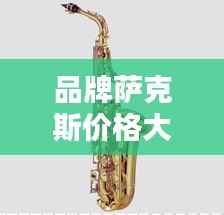 品牌萨克斯价格大解析,不同品牌萨克斯的价值与价格对比!