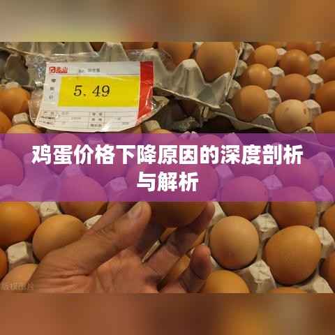 鸡蛋价格下降原因的深度剖析与解析