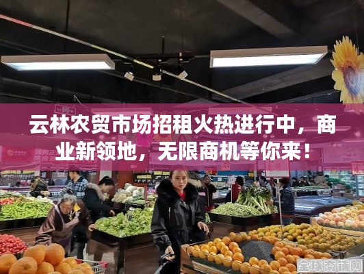 云林农贸市场招租火热进行中,商业新领地,无限商机等你来!