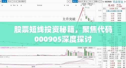 股票短线投资秘籍,聚焦代码000905深度探讨