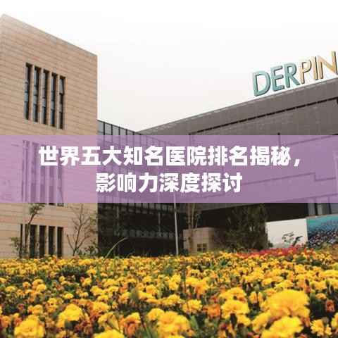 世界五大知名医院排名揭秘,影响力深度探讨