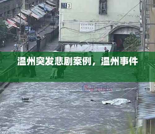 温州突发悲剧案例,温州事件