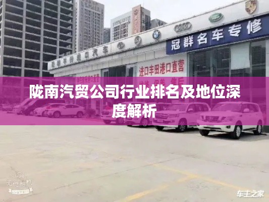 陇南汽贸公司行业排名及地位深度解析
