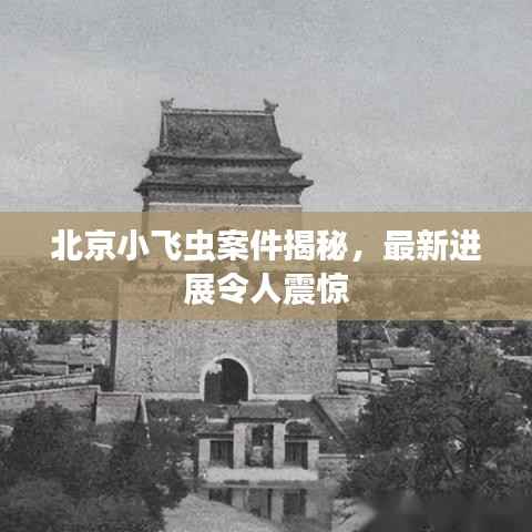 北京小飞虫案件揭秘,最新进展令人震惊
