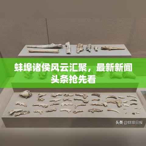 蚌埠诸侯风云汇聚,最新新闻头条抢先看