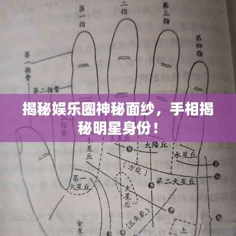 揭秘娱乐圈神秘面纱，手相揭秘明星身份！
